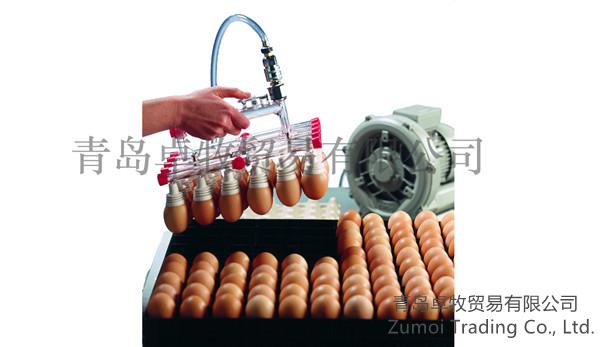zumoi vacuum egg transporter